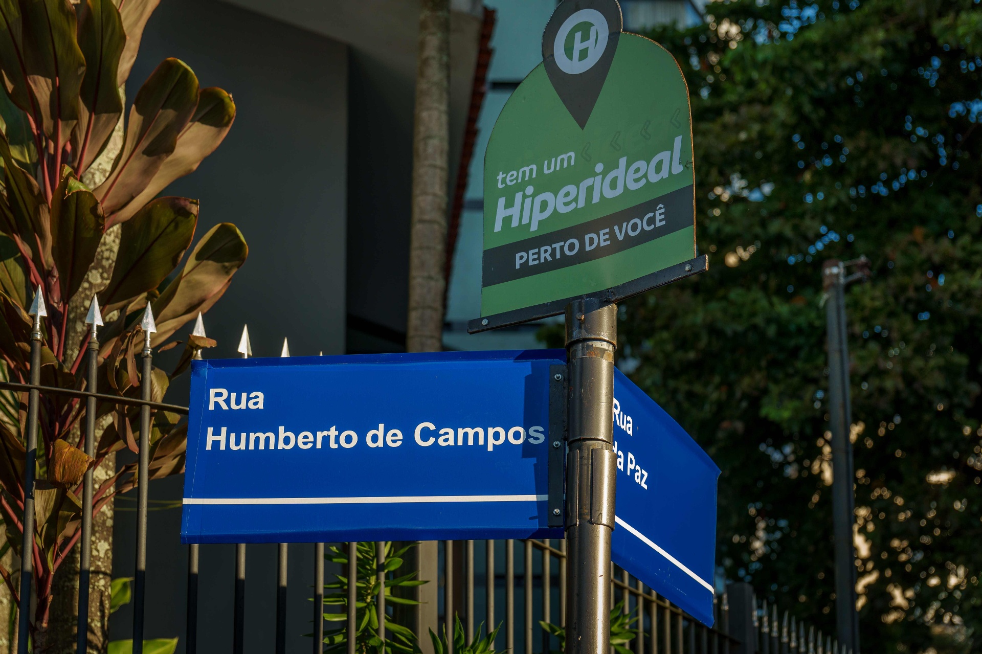 Rua arborizada da Graça